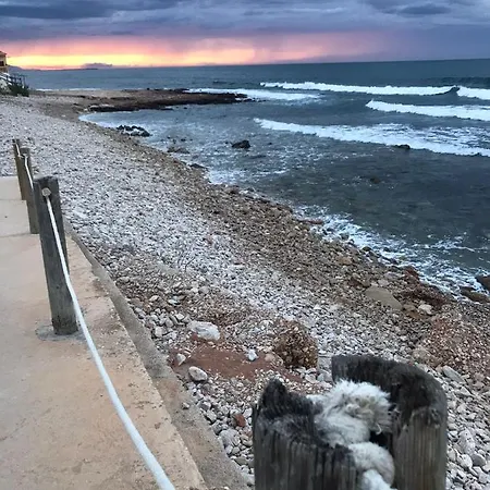 Apto. Con Gran Terraza Y Acceso Directo A Piscina. *