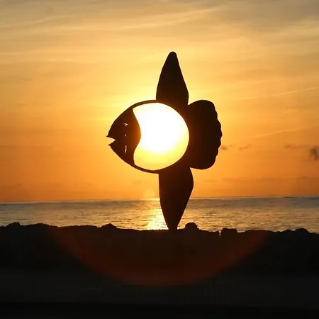 Apto. Con Gran Terraza Y Acceso Directo A Piscina. Apartamento *