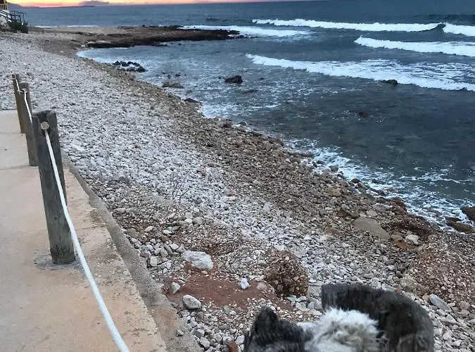 Apto. Con Gran Terraza Y Acceso Directo A Piscina. *