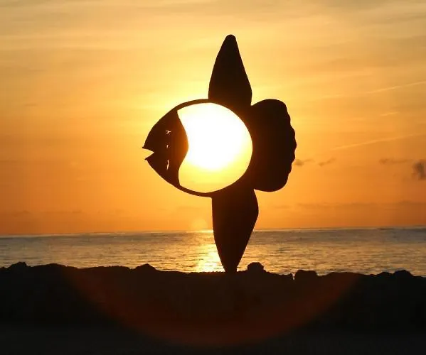 Apto. Con Gran Terraza Y Acceso Directo A Piscina. Апартаменти *